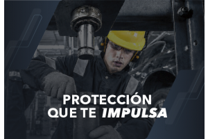 Libus Manifiesto